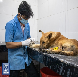 file_2025-08-08_07.18.44