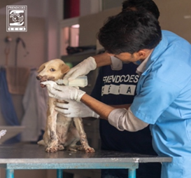 file_2025-08-08_07.18.55